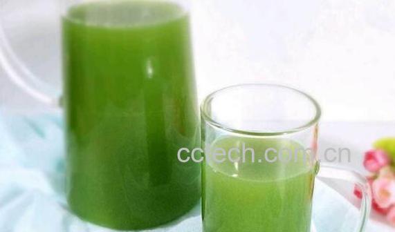 青瓜汁敷脸有什么作用 青瓜汁敷脸需要注意什么-0