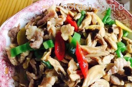 长寿菇怎么做好吃 长寿菇的做法大全-0