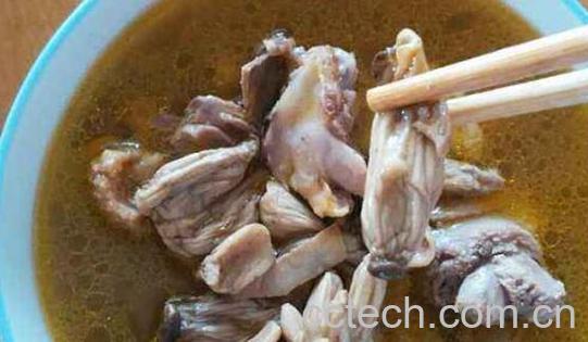 长寿菇怎么做好吃 长寿菇的做法大全-1