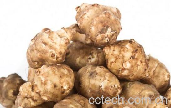 菊芋的功效与作用-0