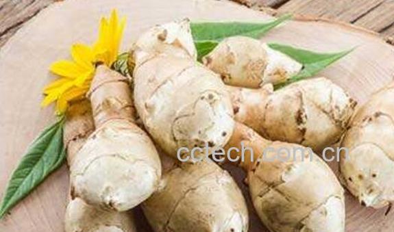 菊芋的功效与作用-1