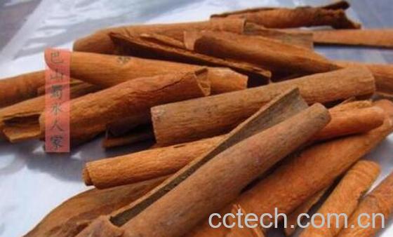 桂通和桂皮的区别 桂通的功效与作用-0