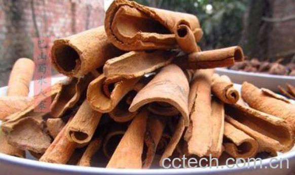 桂通和桂皮的区别 桂通的功效与作用-1