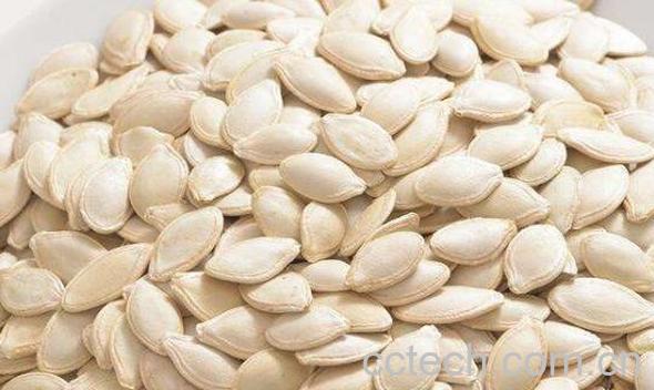 南瓜子和西葫芦籽的区别 吃南瓜子的好处-0