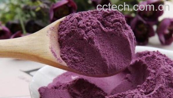紫薯粉怎么做 紫薯粉的吃法大全-1