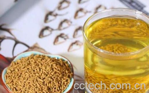 荞麦泡水喝的功效与作用-0