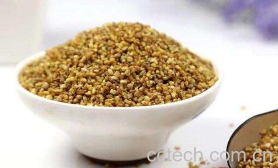 荞麦泡水喝的功效与作用-1