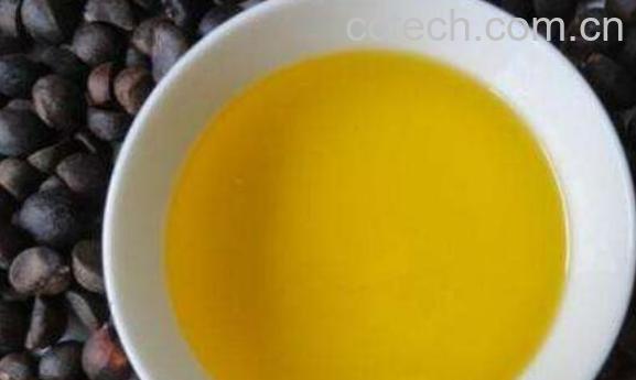 红花茶油的功效与作用 红花茶油的吃法-1