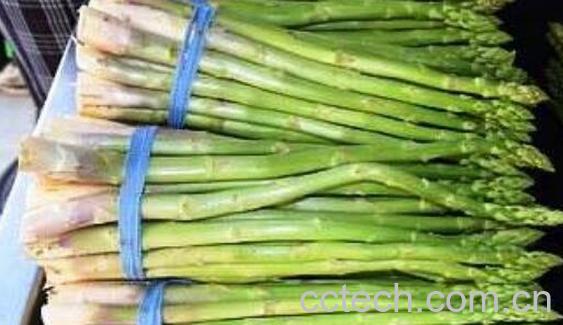 绿芦笋怎么清洗 绿芦笋怎么做好吃-1