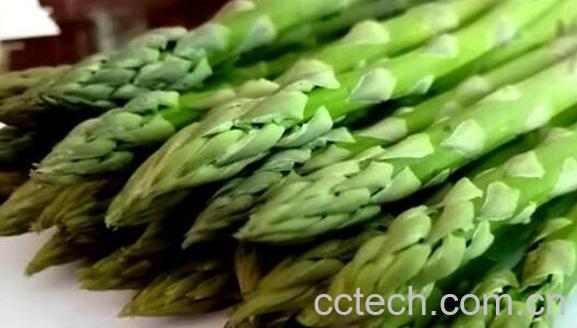 绿芦笋怎么清洗 绿芦笋怎么做好吃-0