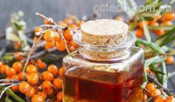 沙棘籽油的用途和用法-0