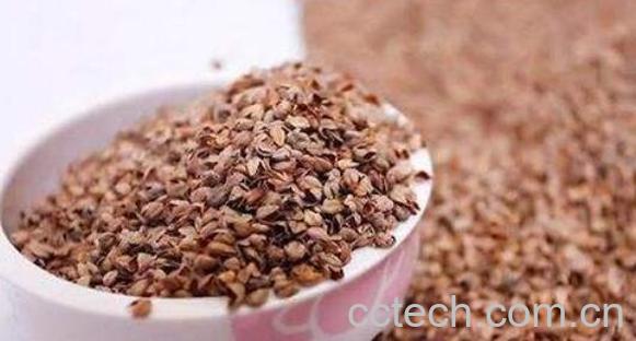 荞麦泡脚好处和坏处-1