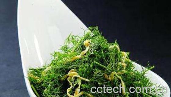 茴香苗不适合什么人吃 吃茴香苗的副作用与禁忌-0