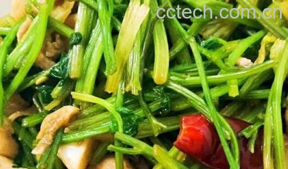 十香菜怎么做好吃 十香菜的做法大全集-0