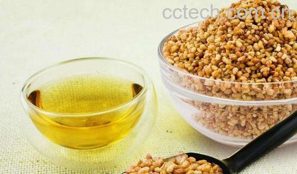 炒荞麦泡水喝的功效与作用-1