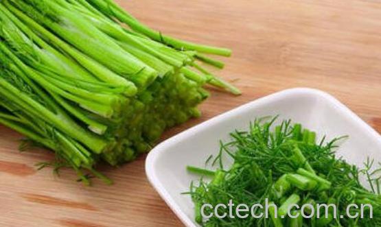 小茴香菜腌制保存方法-1