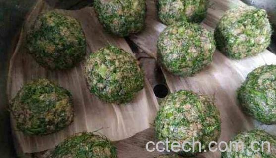 小茴香菜怎么做好吃 小茴香菜的家常做法教程-0