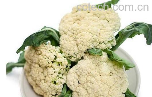 白菜花的功效与作用-0