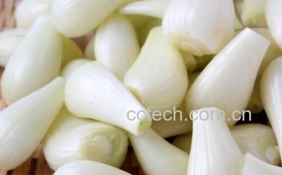 小根蒜什么人不能吃 小根蒜的副作用-0