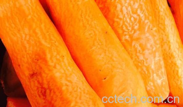 蒸胡萝卜的功效与作用及禁忌-1