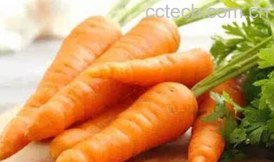 胡萝卜不能和什么一起吃 吃胡萝卜的禁忌-0