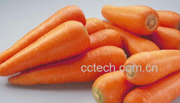 胡萝卜不能和什么一起吃 吃胡萝卜的禁忌-1