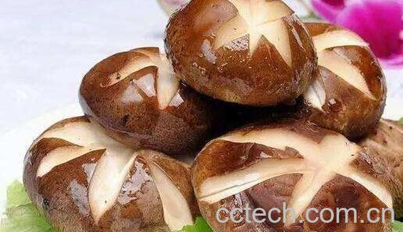 香菇忌讳和什么一起煮 香菇不能和什么一起吃-0