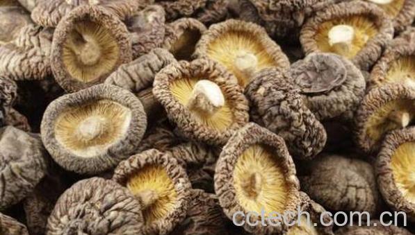 香菇忌讳和什么一起煮 香菇不能和什么一起吃-1