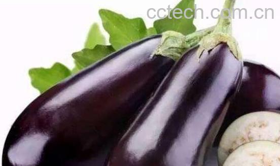 茄子不能和什么一起吃-1