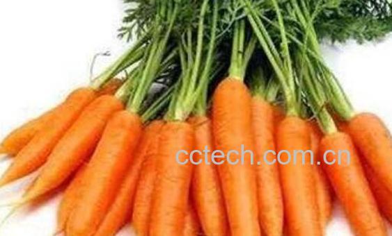 胡萝卜怎么做好吃 胡萝卜的做法儿童爱吃-1