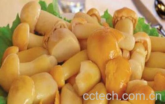滑子菇怎么吃 滑子菇的做法大全-1