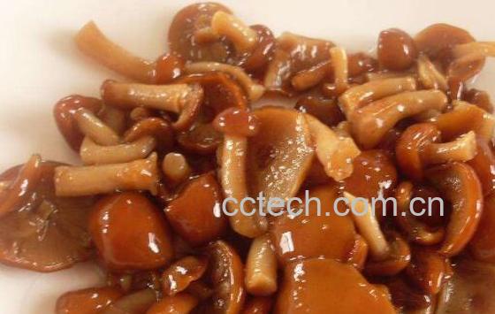 滑子蘑的功效与作用 滑子蘑的营养价值-0