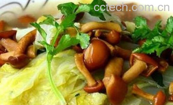 滑子蘑和什么炒好吃 滑子蘑的做法大全-1