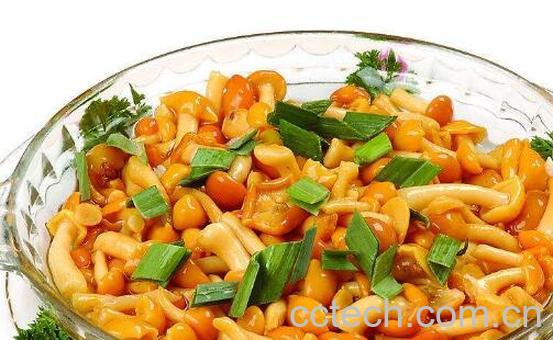 滑子蘑和什么炒好吃 滑子蘑的做法大全-0