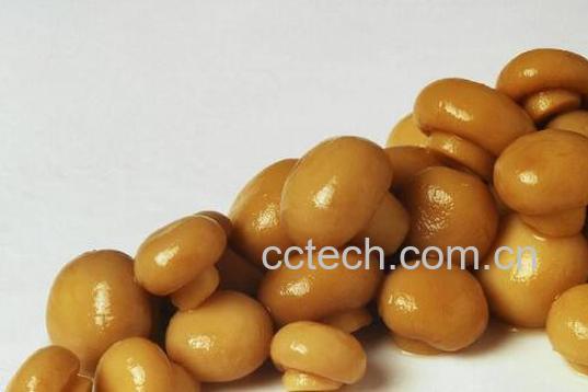 滑子蘑的功效与作用 滑子蘑的营养价值-1