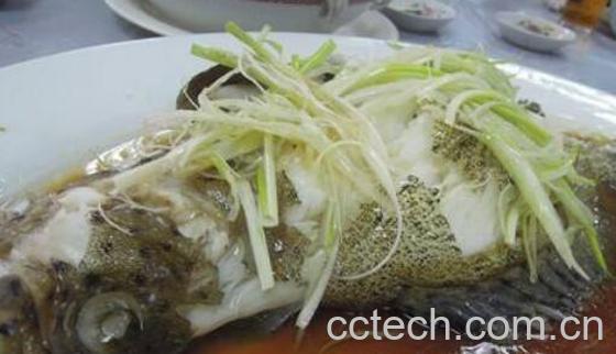 老鼠鱼怎么做好吃 老鼠鱼的做法教程-0
