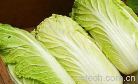煮白菜水泡脚的功效与作用 煮白菜水的作用-0