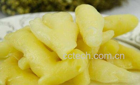 泡生姜的功效与作用及药用价值-1