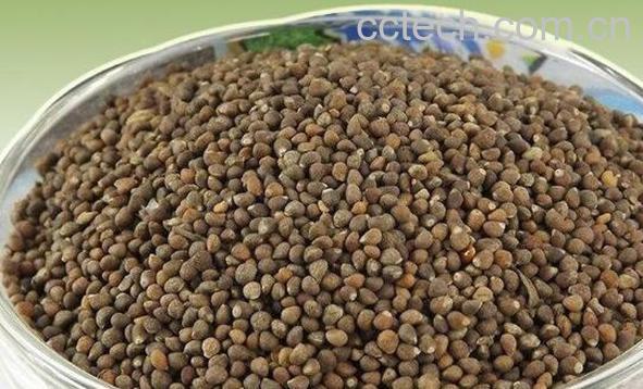 苏子籽怎样去皮 苏子籽怎么保存-1