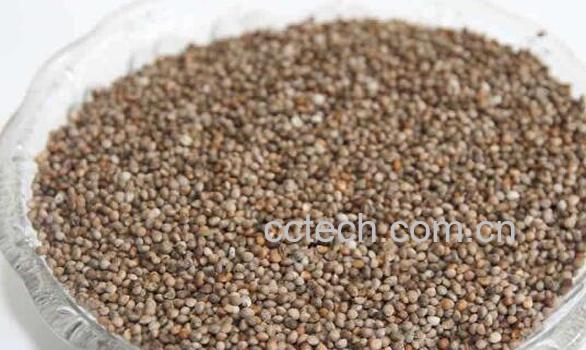 苏子籽怎样去皮 苏子籽怎么保存-0