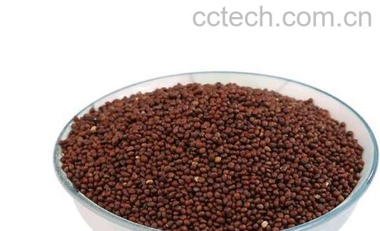 熟苏子粉怎么吃 熟苏子粉的吃法大全-0