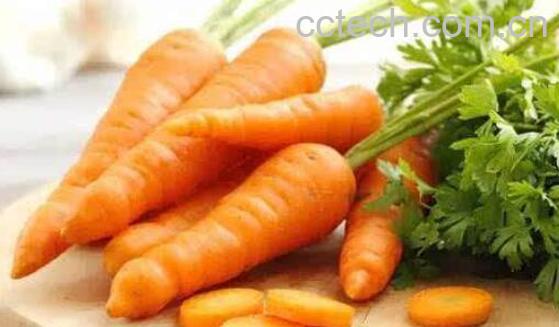 胡萝卜须的功效与作用-0