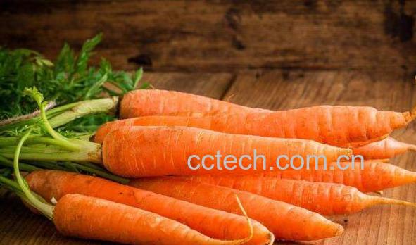 胡萝卜须的功效与作用-1