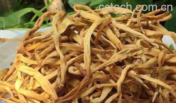 干黄花菜吃前怎么处理 干黄花菜用不用焯水-0