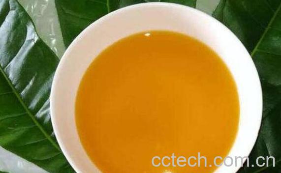 青刺果油的功效与禁忌-0