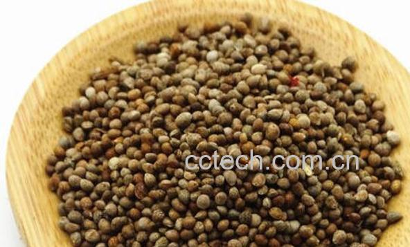 熟苏子的功效与作用-0