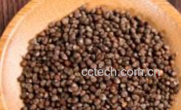 熟苏子的功效与作用-1