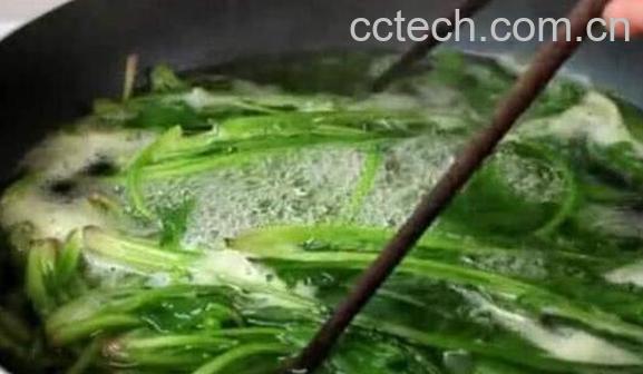 菠菜水洗脚有什么好处 菠菜水的功效与作用-0