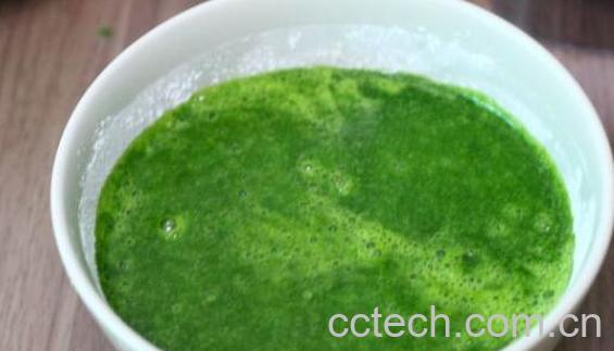 菠菜汁的功效与作用-0