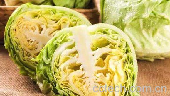 甘蓝菜的功效与作用 甘蓝菜有什么副作用-0